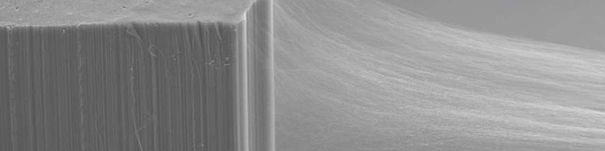 Carbon nanotube research at Inoue lab