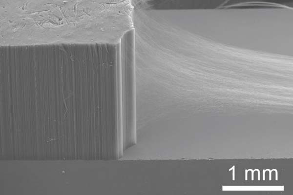 Carbon nanotube research at Inoue lab